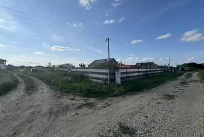 Teren de 9300 mp, în Pruni - 6