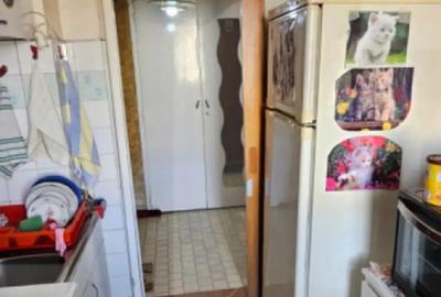 Apartament cu 3 camere semidecomandat, mobilat în Teiul Doamnei - 12