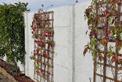 Casa ta, caminul tau 4 camere decomandate, constructie 2 - 6