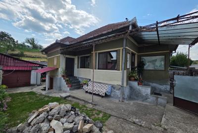 Casă cu 4 camere cu Teren 232 Mp în Peștișu Mare - 1