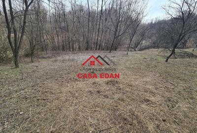 Teren de 3448 mp, în Provița de Jos - 19