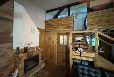 Casa-langa studiourile Buftea, 2 constructii, curte cu pomi, 2500mp, langa lac - 17