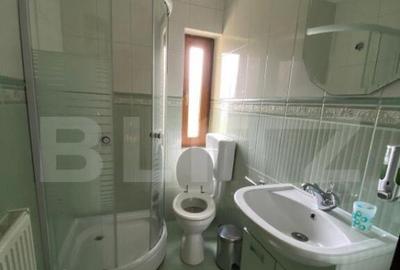 Casa cu potential turistic, 380 mp, FUNDATA - 22