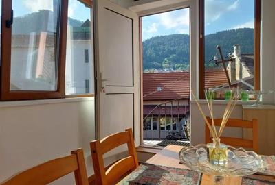 Garsonieră nedecomandată, mobilată în Centrul Istoric - 8