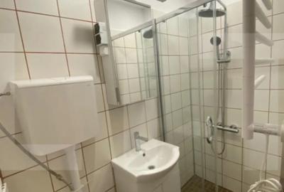 Garsonieră, mobilată în Buziașului - 1