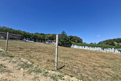 Spațiu comercial, în Bascov - 2