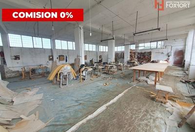 Cladire productie Parter + 3 niveluri, teren intravilan 9738 mp in Timisoara - 13