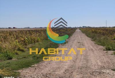 Spațiu comercial, în Vidra - 7