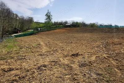 Teren în Calea Caransebeșului - 2