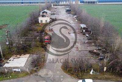 Teren si hala de inchiriat | 9.984 mp teren | Depozit Lidl | Prahova - 2