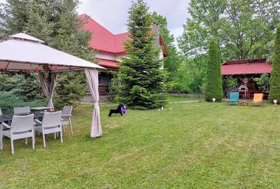 Casă cu 4 camere cu Teren 6000 Mp în Cornu - 4