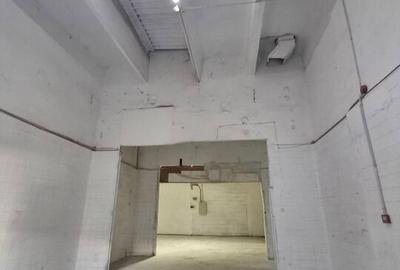 Spatii depozitare /productie Linia de Centura Leordeni-Glina - 24