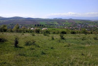 Spațiu comercial, în Hamba - 2