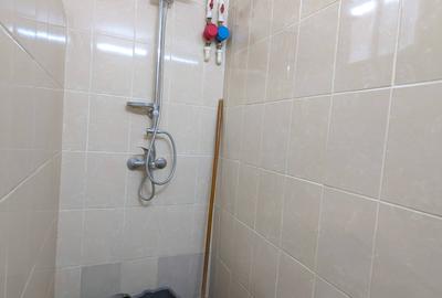 Camera de camin sau doua Gemenii Florilor - 4