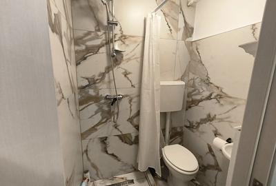 Garsoniera Regim Hotelier AFI ARAD - 1