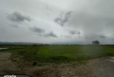 Teren de 2500 mp, în Câmpineanca