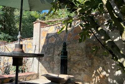 Vand casa Saca Montana - 4