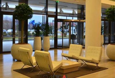 Spațiu comercial, în Băneasa - 17