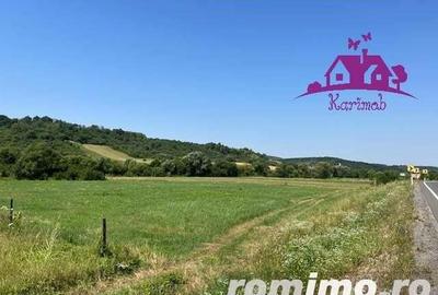 Teren intravilan Hidiselul de Sus - 6