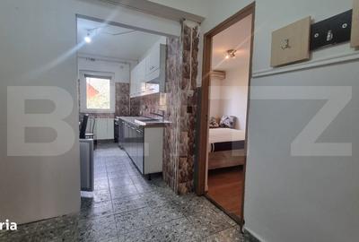 Apartament cu 3 camere decomandat în Lipovei - 11