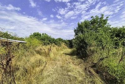 Teren de 1011 mp, în Mărăcineni - 1