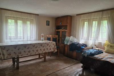 Casă cu 4 camere cu Teren 11802 Mp în Central - 2