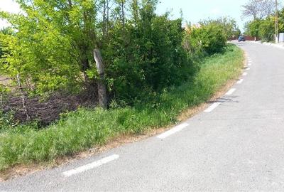 Teren de 1000 mp, în Nămoloasa - 7