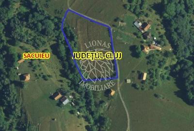 Teren agricol extravilan de 8335 mp, în Vișagu - 11