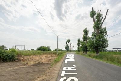 Teren de 30000 mp, în Cernica - 11