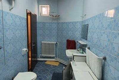 Duplex cu 3 camere si teren de 450 mp la curte comuna, zona Sagului - 11