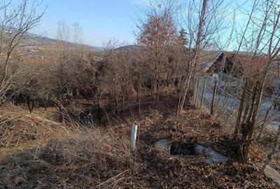 Teren de 4200 mp, în Poiana - 10