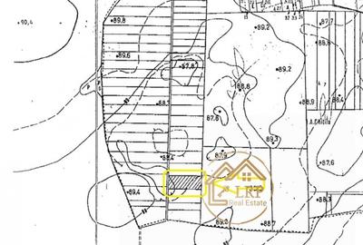 Pipera-Oxford-Padurea Baneasa, intravilan 3700mp Pipera-Oxford-Padurea Baneasa, intravilan 3700mp - 4