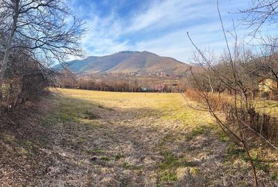 Vand Teren, Intravilan, 2300 mp
