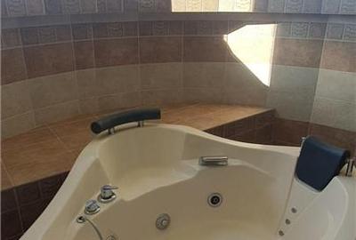 Vila deosebita de inchiriat, 200 mp, in Moara Nica, central - 17