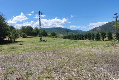 Teren de 3100 mp, în Moldovenești - 2