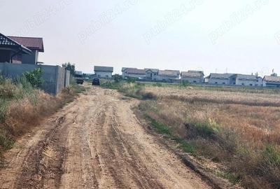 Vanzare Teren Rezidential 5000MP Magurele - 3