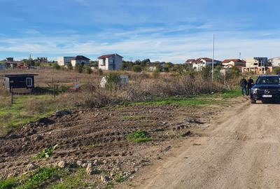 Teren Construcții intravilan de 600 mp, în Techirghiol - 6