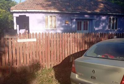 Casă cu 6 camere cu Teren 6000 Mp în Mircea Vodă - 4