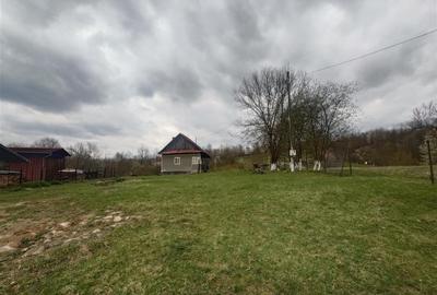 Teren intravilan de 9370 mp, în Țebea - 9