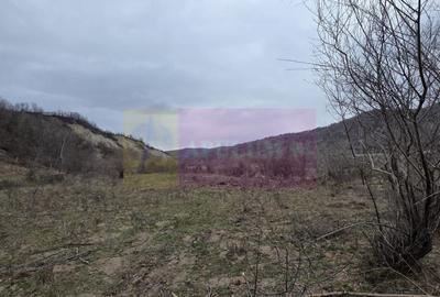 Teren agricol extravilan de 1006 mp, în Brebu - 4