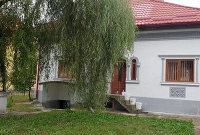 Casă cu 3 camere în Valea Brazilor - 5