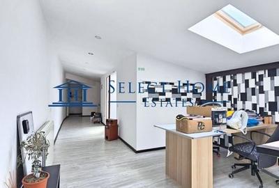 Unirii - Corneliu Coposu | Duplex in Vila | Ideal Birou - Activitate Comerciala - 11