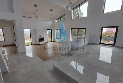 Vila eleganta P+M si 1500mp teren, Hlincea. - 2