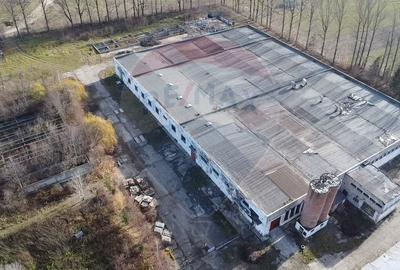 Spatiu industrial - de vanzare - GURA HUMORULUI - 3