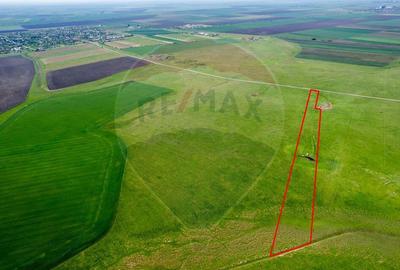 Teren agricol 5 ha, extravilan, 52 m deschidere la ?osea - 6