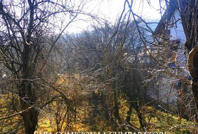 CALIMANESTI, TEREN 1231 MP - 5