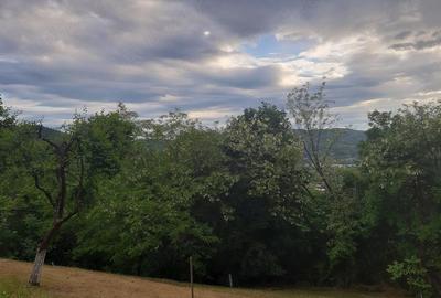 Teren în Dăești - 7