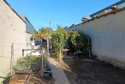 Teren intravilan de 247 mp, în Apollo - 5