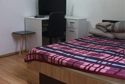 Apartament cu 2 camere nedecomandat în Terezian - 4