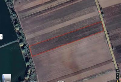 Teren Nucet 8018m Deschidere 21m la DN71 Targoviste - 1